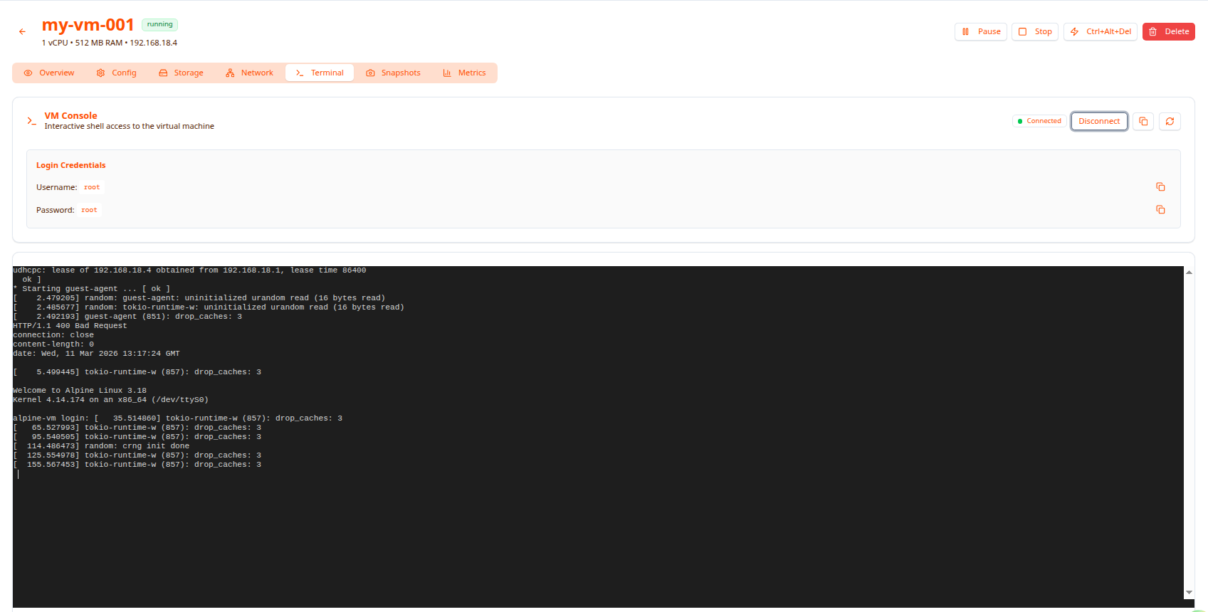 VM console with login credentials and terminal